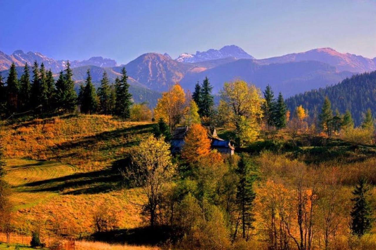 Willa Strazyska Zakopane Dış mekan fotoğraf